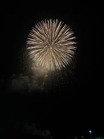 夜空を染める大輪の花火