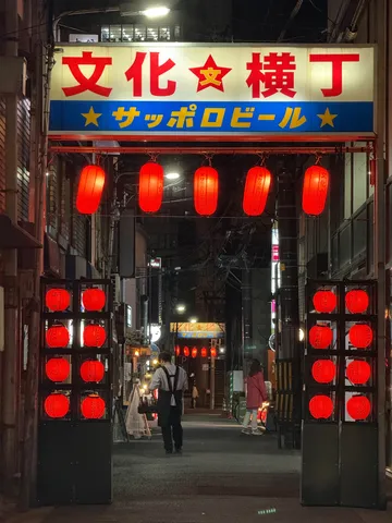 提灯が誘う、夜の横丁
