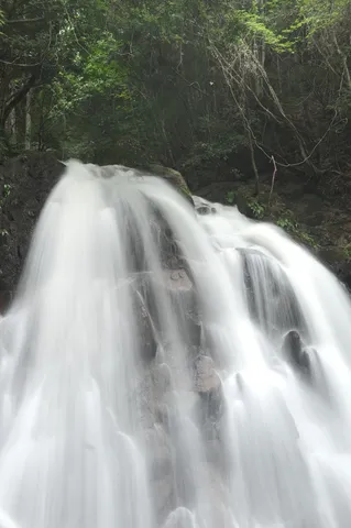 緑濃い森の静寂、癒やしの滝