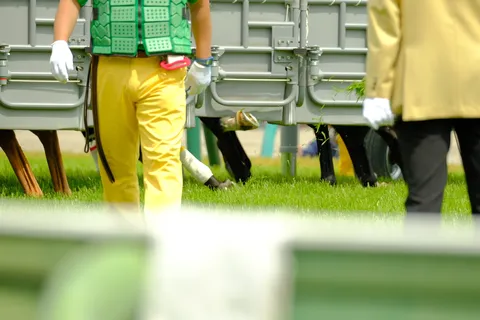 競走馬を支える一瞬