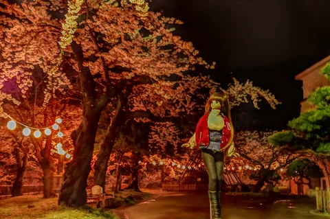 夜桜と佇む人形の影