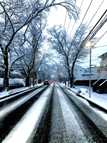 雪化粧の街路、静かな冬のドライブ