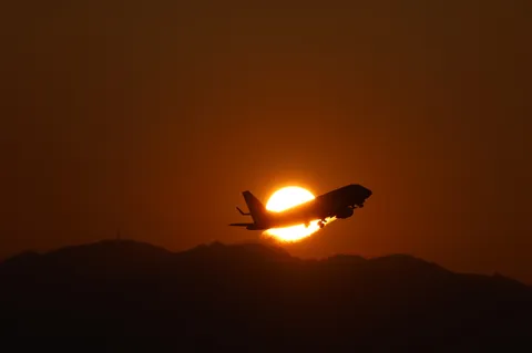 夕陽と飛ぶシルエット