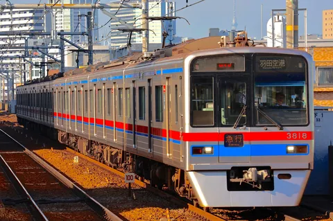 架線の迷路を走る急行