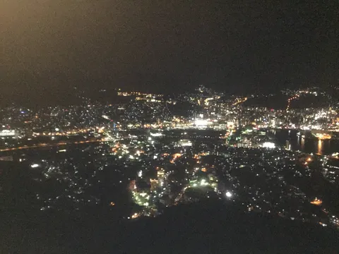 夜景に溶け込む光の絨毯