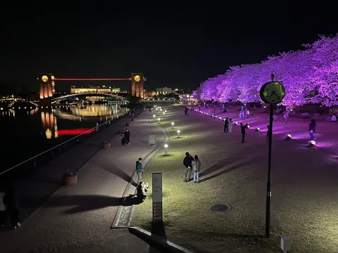 幻想的な光が彩る夜のプロムナード