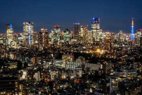光の海、夜空に描かれた都市
