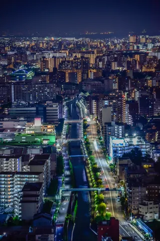 都市の光脈、夜の叙情