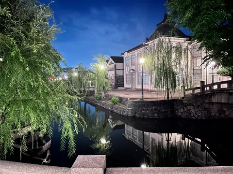 水辺に揺れる柳と古都の夜景