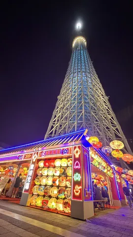 夜空を彩る光の祭典