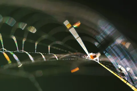 夜の虹がつなぐ糸