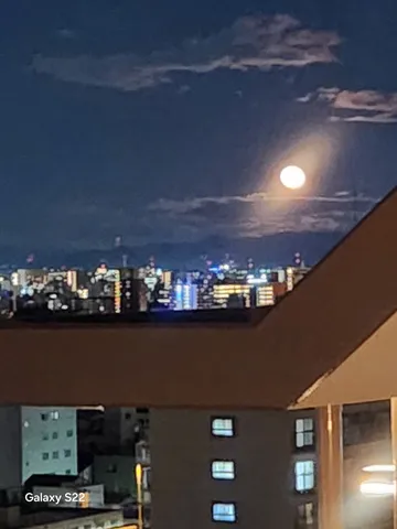 月夜に浮かぶ都会の灯り