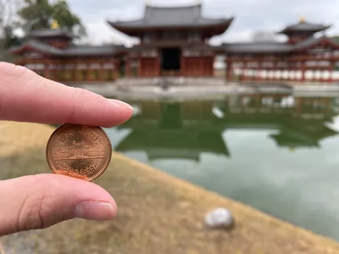 水面に映る小さな発見