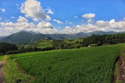 緑深まる山里の風景