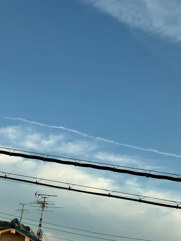 電線と空のコントラスト