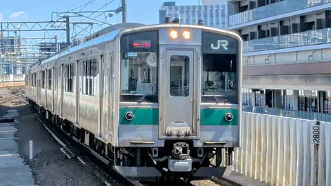 静寂を切り裂く、緑の帯