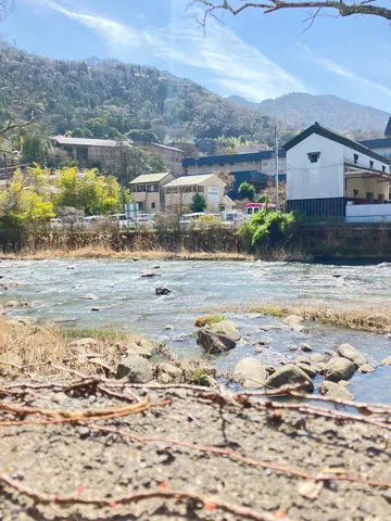 水辺の静かな光景