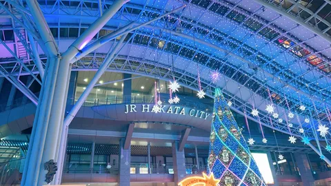 天井まで煌めくイルミネーション