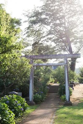 紫陽花と古の鳥居、静謐な道