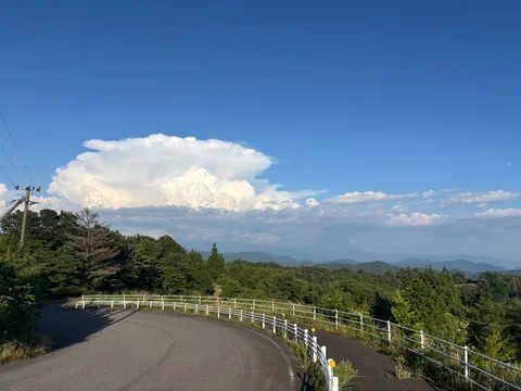 雲海と緑のコントラスト
