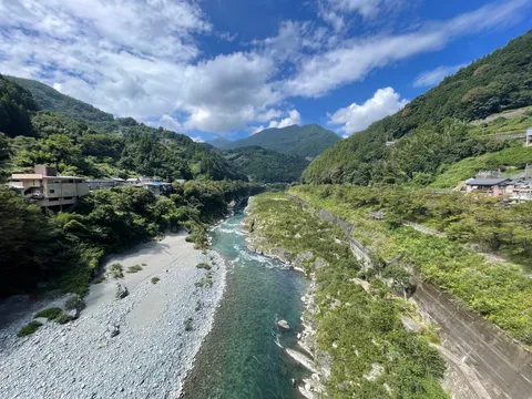 渓谷の静寂と生命力