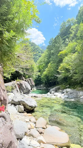 碧く澄んだ渓流の輝き