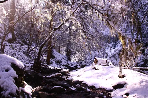 雪景色の小さな川沿い