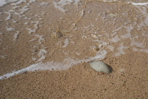 砂浜に寄せる波の音