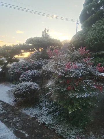 冬の陽射し、積もる雪の静けさ