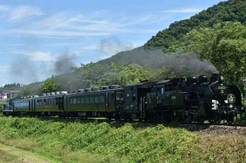 緑の中を走るSLの煙
