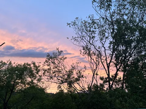 空と木々のシルエット、夕暮れのグラデーション