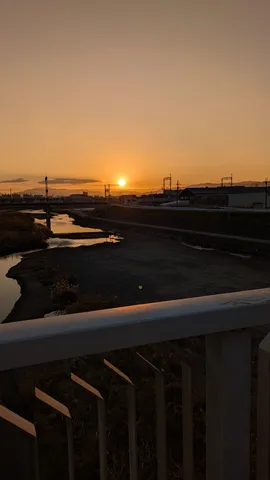黄金に染まる川辺の夕景