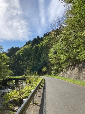 新緑の山道の風景