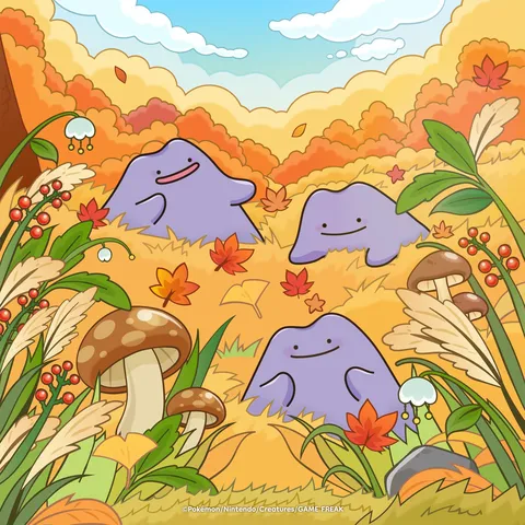 秋の風景にほっこり