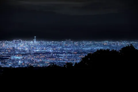 闇夜に広がる光の絨毯