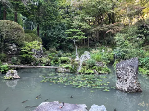 静寂の庭園、水面に映る緑