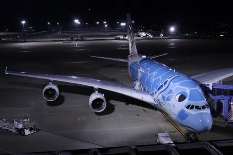 夜の滑走路に輝く、空飛ぶウミガメ