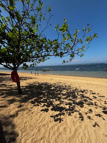 砂浜に広がる夏の特等席