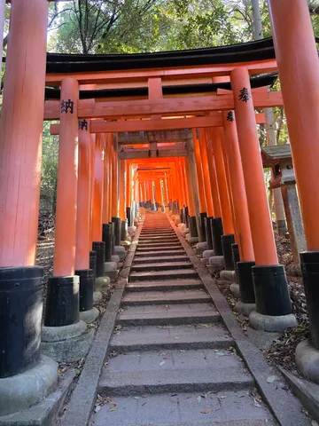 千本鳥居、神聖なる道