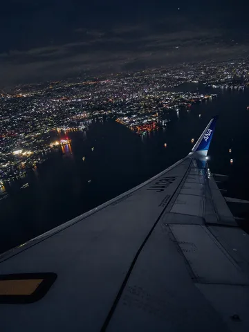 夜景を染める翼