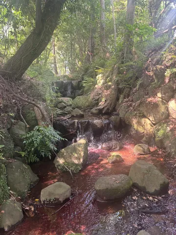 裾野中央公園