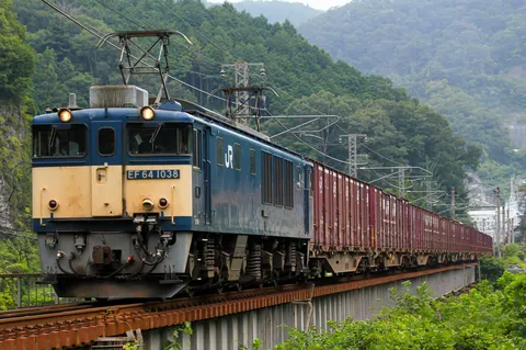 緑深き山を越える貨物列車の雄姿