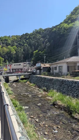 風流な川辺の日常風景