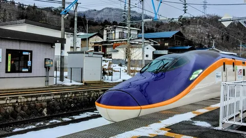 雪も凍るぜ、この配色！