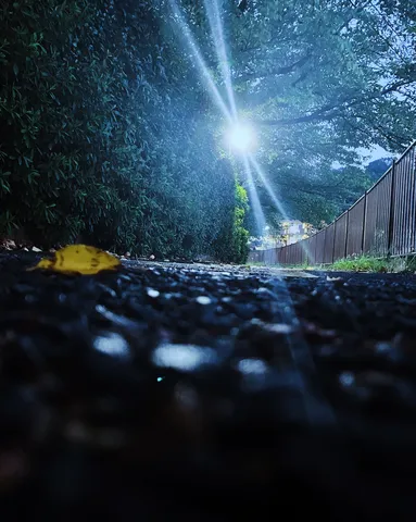 雨上がりの道、光と影のコントラスト
