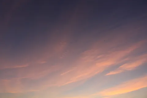 茜色の空、旅立つ翼