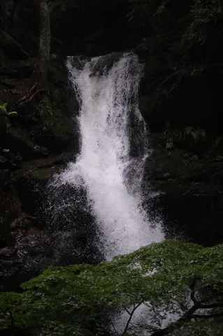 森の奥の隠された滝