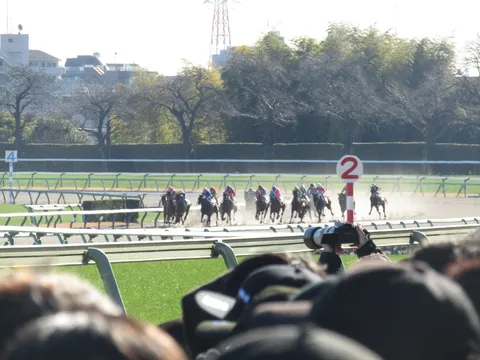 砂煙を上げて疾走する競走馬たち