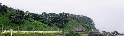 雨窓越しの緑と列車