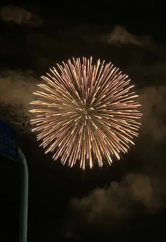 夜空に咲く金の花